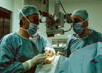 AREA MEDICA / MEDICAL AREA